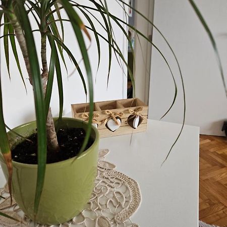 Cosy Apartment In The Heart Of Skopje Eksteriør bilde